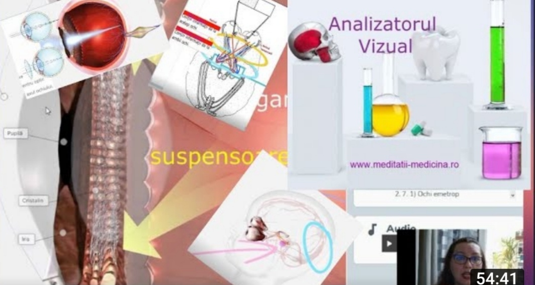 Analizatorul Vizual #MaterieAdmitereMedicina | meditatii-medicina.ro