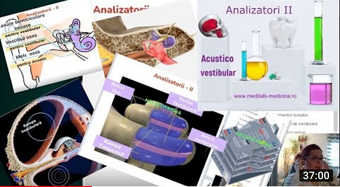 #Analizatori II- #AcusticoVestibular #MaterieAdmitereMedicina ​ | meditatii-medicina.ro